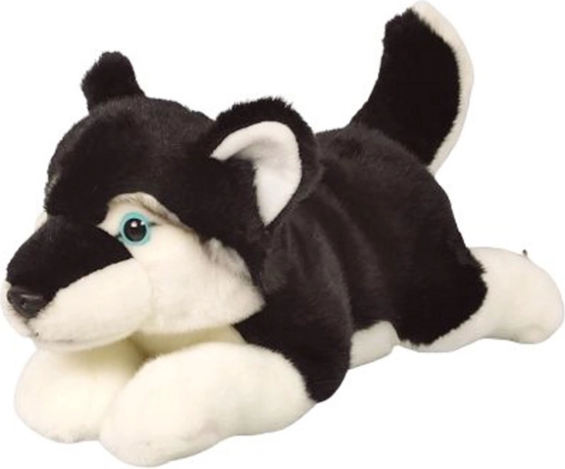 Husky di peluche 34 cm