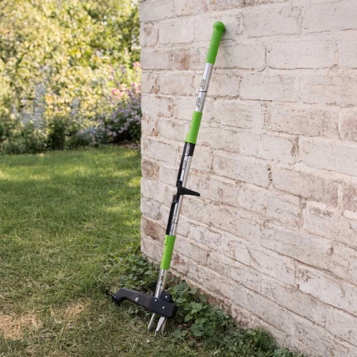 Artigli che tengono salde anche le radici robuste