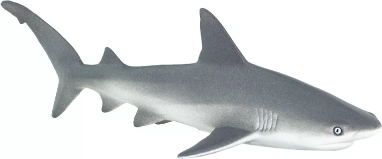 Realizzazione realistica del predatore marino