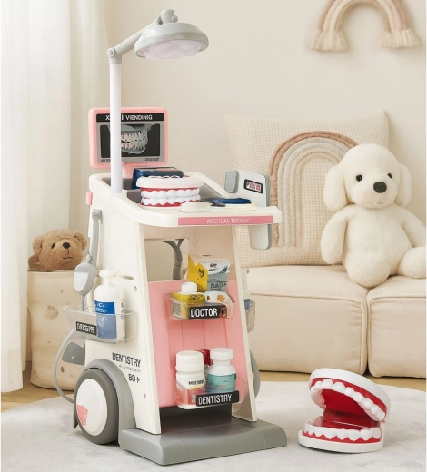 Modello di mascella e ricchi accessori