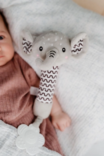 Massaggiagengive per il sollievo delle gengive