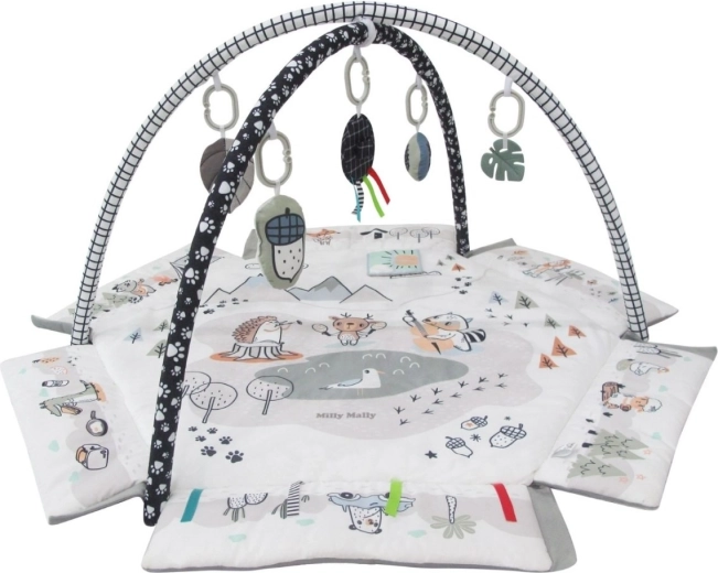 Stimolazione sensoriale e motricità