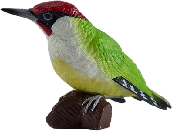 Picchio verde Mojo
