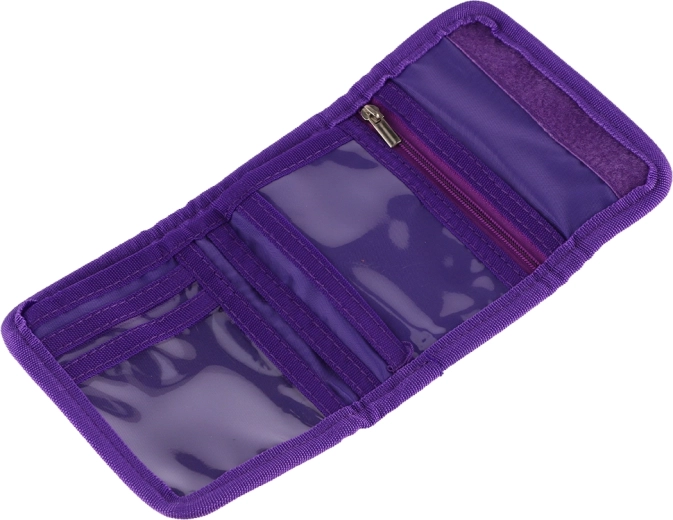 Organizzazione chiara di carte e contanti