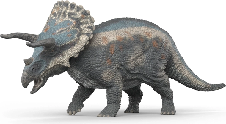 Dettagli eccellenti per apprendimento ed esposizione