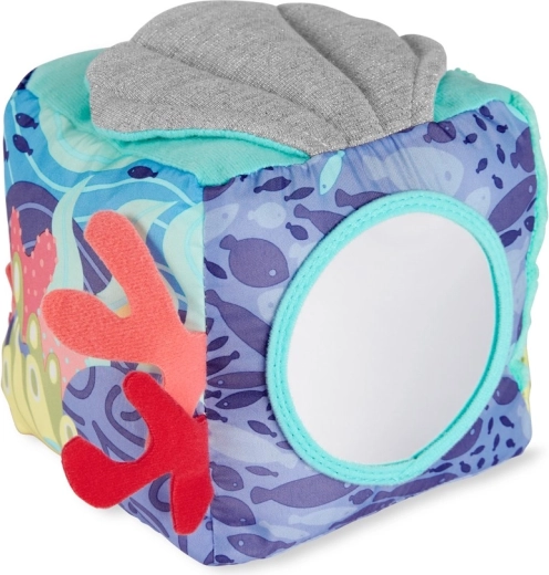 Specchietto nascosto sotto la conchiglia frusciante