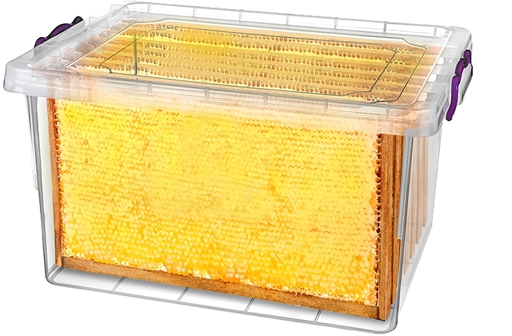 Conservazione sicura dei telaini da apicoltura