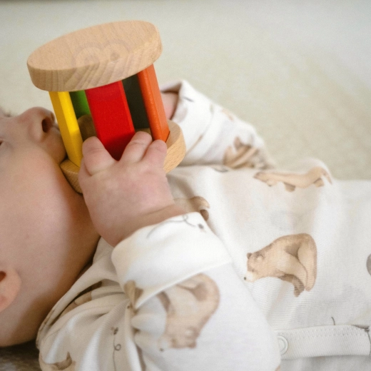 Giochi di presa in legno naturale
