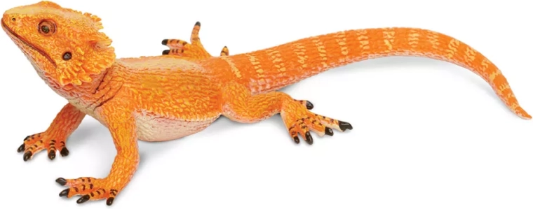 Dettagli realistici come un vero drago barbuto