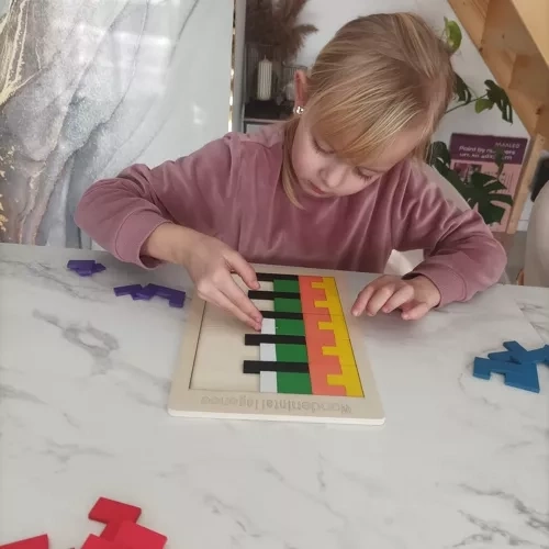 Sviluppo della logica e della concentrazione