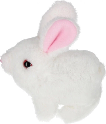 Scelta tra tre colori