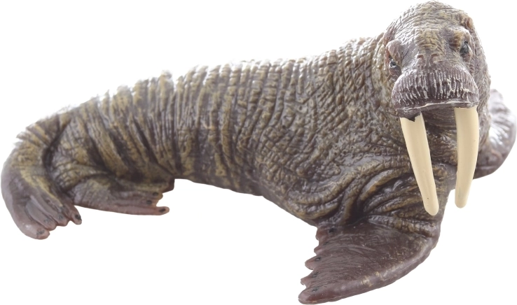 Struttura in plastica resistente