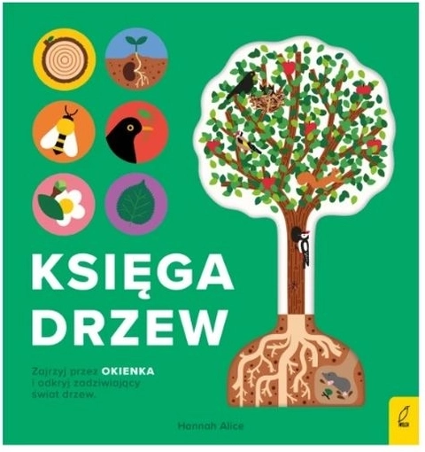 Enciclopedia con fogli trasparenti – Il libro degli alberi