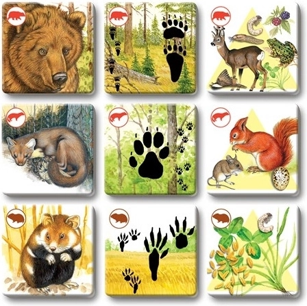 Splendide illustrazioni che catturano l’attenzione