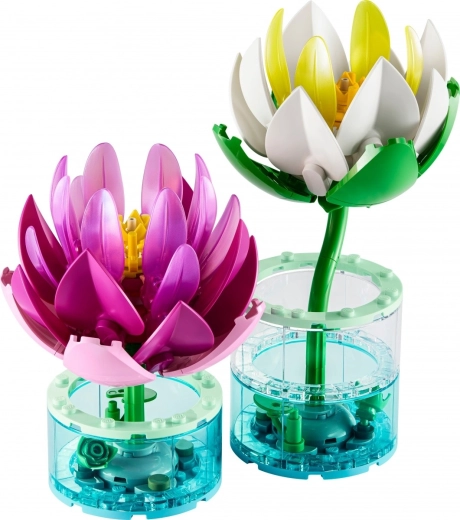 Decorazione per interni e regalo per gli amanti della natura