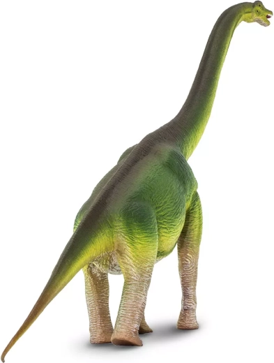 Collo lungo e silhouette fedele del brachiosauro