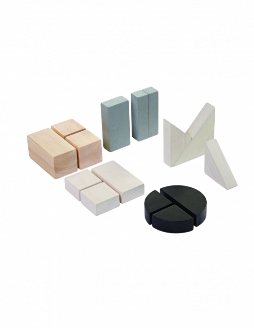 PlanToys cubi in legno frazionari per imparare le frazioni