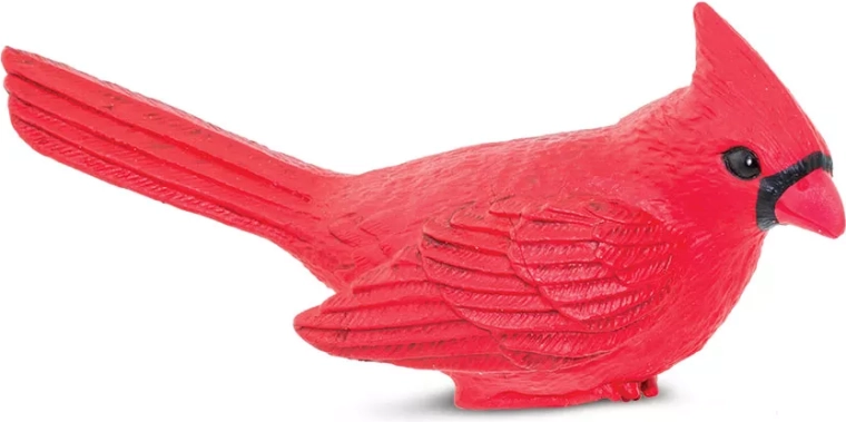 Safari Ltd. cardinale rosso - 1 pezzo