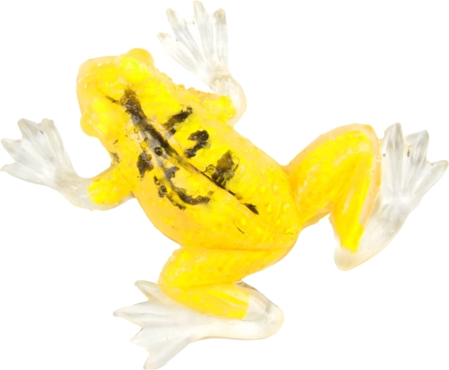 Colori assortiti per più divertimento