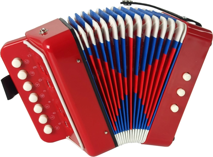 Una vera esperienza con la fisarmonica