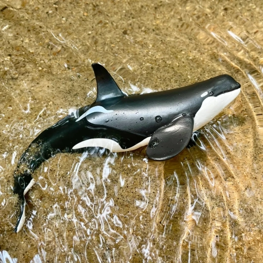 Adatta anche al gioco in acqua