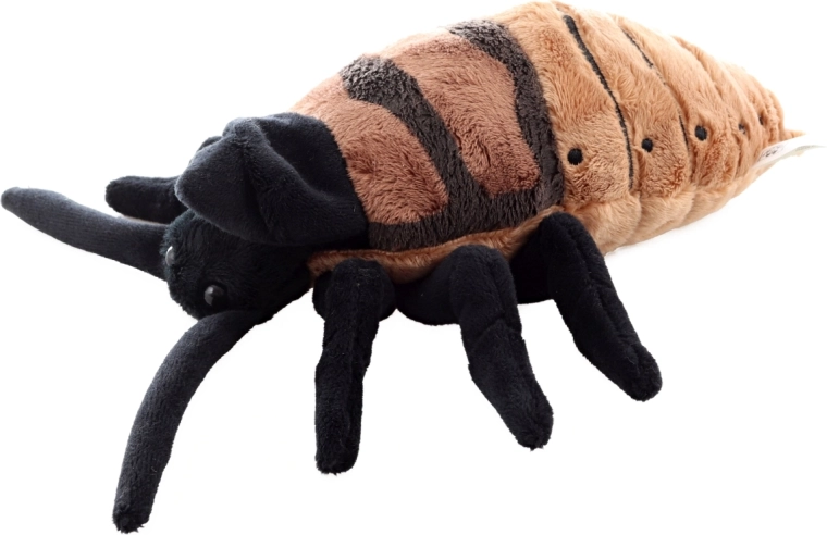 Dimensione ideale 20 cm