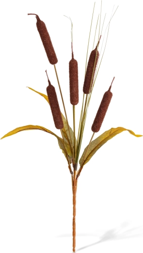 Aspetto naturale per le decorazioni autunnali