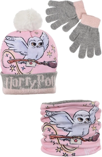 Completo invernale Harry Potter grigio con berretto, scaldacollo e guanti