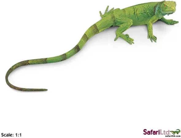 Safari Ltd. cucciolo di iguana verde - 1 pezzo