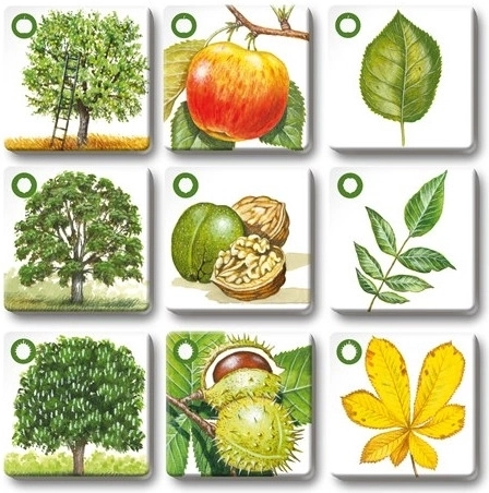 Apprendimento di alberi, foglie e frutti tramite terzetti