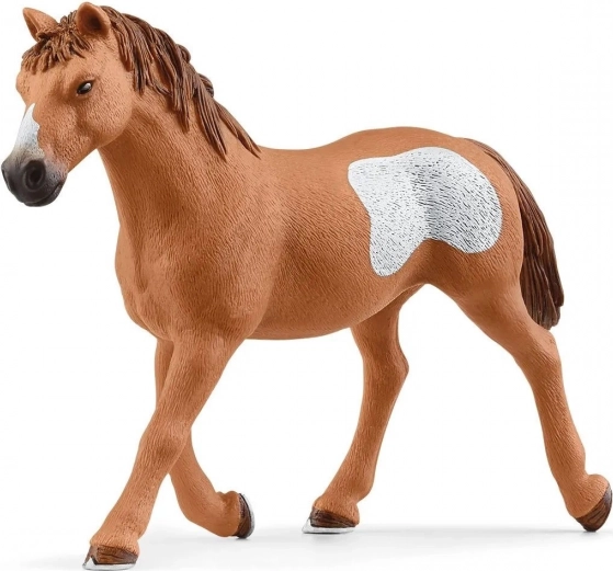 Animali realistici per giocare e imparare