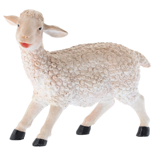 Utilizzo versatile per decorazione ed educazione