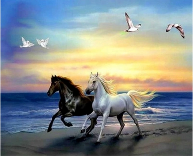 Diamond painting – due cavalli bianco e nero 30 × 30 cm - 1 pezzo