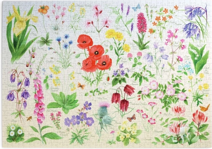 Puzzle House of Puzzles Fiori di campo 1000 pezzi