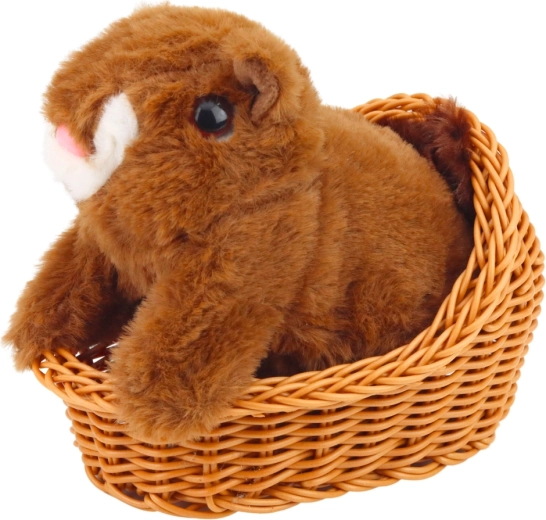 Peluche morbido, sicuro e resistente