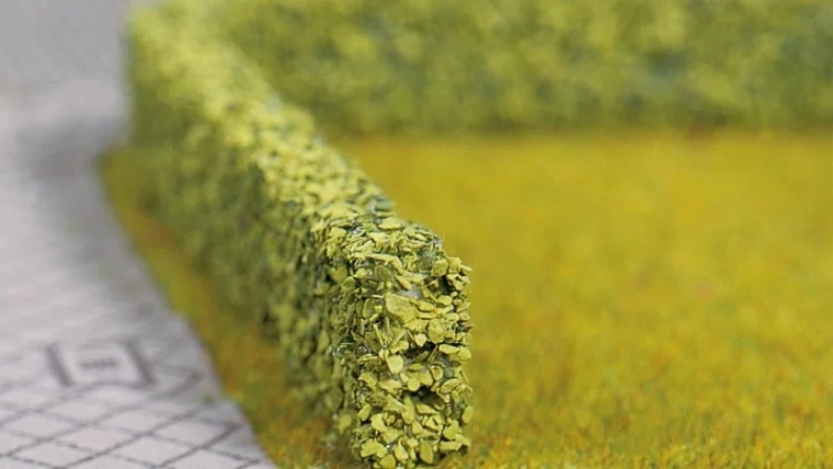 Noch siepe viva verde (2 pz)
