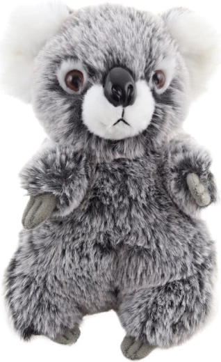 Sicura dalla nascita (0+)