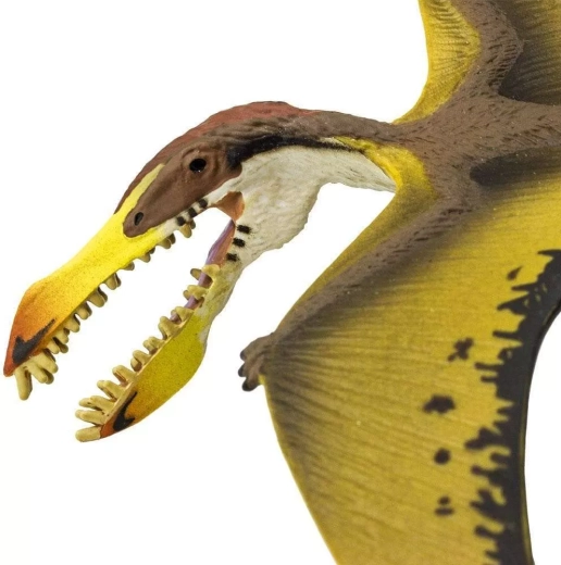 Denti e testa dettagliati per un gioco realistico