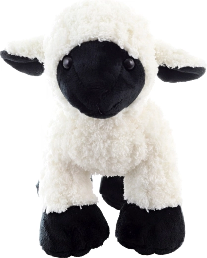 Dimensione ideale per le coccole