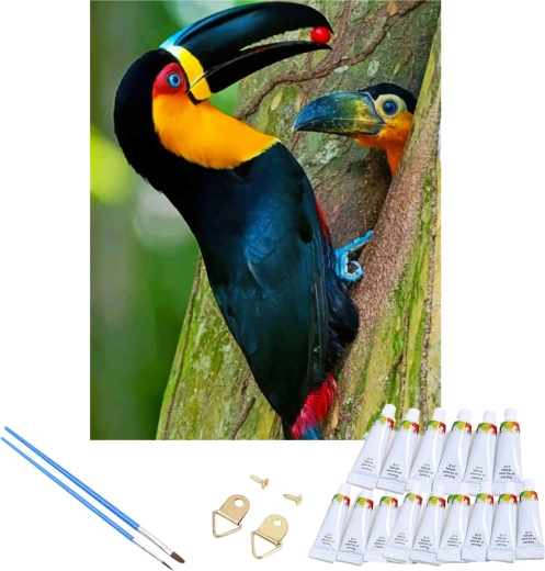 Set completo con tela tesa