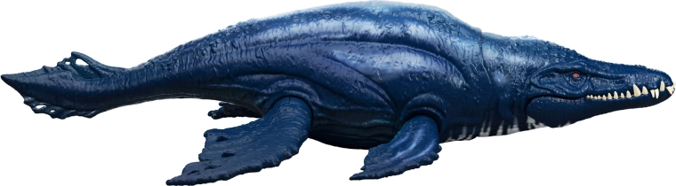 Dettagli accurati e grande dimensione 30 cm