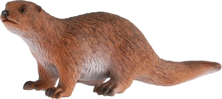 Lontra raffigurata fedelmente