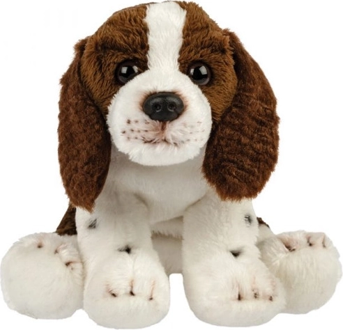Cane di peluche (spaniel)