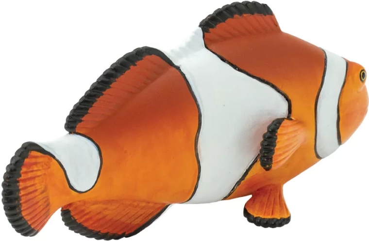Realistica lavorazione del pesce pagliaccio ocellato