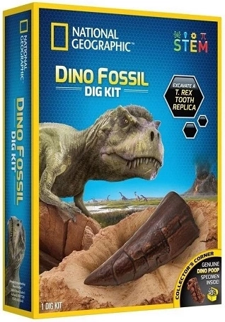Scavi di dinosauri National Geographic