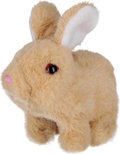 Movimenti e suoni adorabili