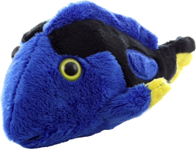 Colori vivaci che catturano l’attenzione