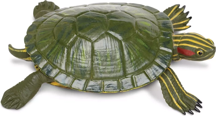 Figura di tartaruga dalle orecchie rosse Safari Ltd. - 1 pezzo