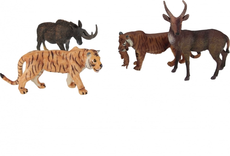 Colleziona e combina