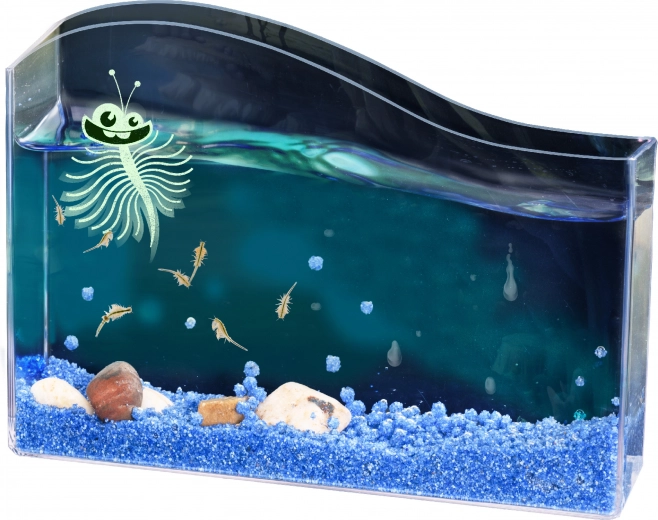 Kosmos animaletto acquatico – Artemia salina set di avvio